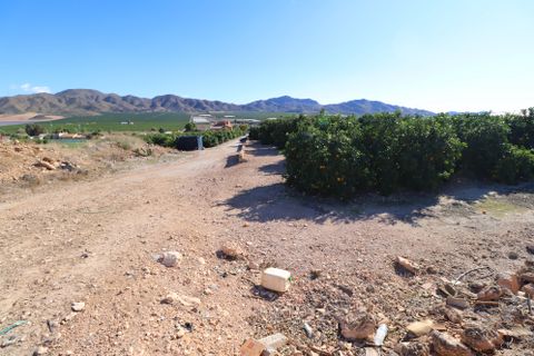 Landejendom i Lorca, Murcia, Lorca - € 199.000 | Ref: 2205-CH - foto 42